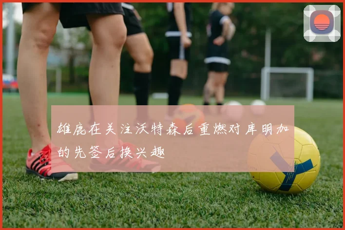 雄鹿在关注沃特森后重燃对库明加的先签后换兴趣